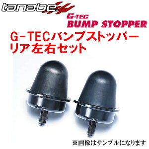 TANABE G-TECovXgbp[ ovo[RpAAHH40WAt@[hnCubh 2023/6`