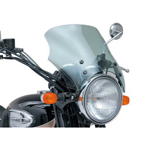 DAYTONA(fCgi) Blast Barrier(uXgoA[/X)/GAoCU[Ή ԎpXe[ W650/400/GXgA/RS/JX^/RSJX^ 62485 oCN O