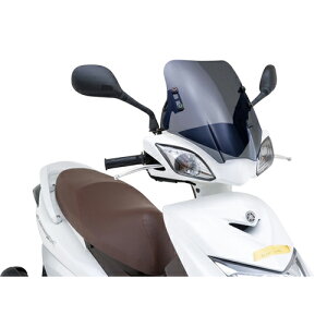 DAYTONA EChV[hSS X[N/V[g VOiXX 79791 oCN O hEEChV[hEXN[