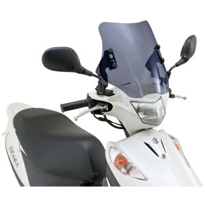 DAYTONA EChV[hSS X[N/V[g AhXV125 79795 oCN O hEEChV[hEXN[