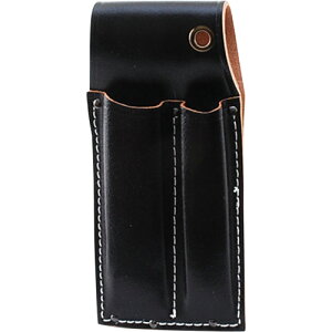 SK11 m~P[X2 BL-22N K[WH c[obO