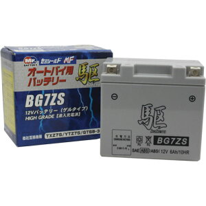  BG7ZS (YTZ7S ݊)(t[d) oCN ^MFobe[