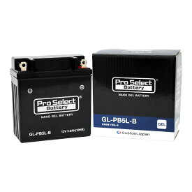 Pro Select Battery(プロセレクトバッテリー) GL-PB5L-B ナノ・ジェルバッテリー(YB5L-B 互換)(ジェルタイプ 液入充電済) PSB121 YB5L-B_12N5-3B_FB5L-B_FB4AL-B