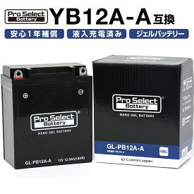 ProSelect バイク バッテリー GL-PB12A-A ナノ・ジェルバッテリー(YB12A-A 互換)(ジェルタイプ 液入充電済)