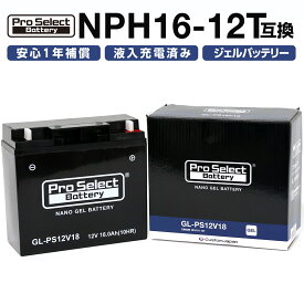 ProSelect(プロセレクト) バイク GL-PS12V18 BMW専用ジェルバッテリー(NPH16-12T 互換)(ジェルタイプ 液入充電済) PSB175 密閉型MFバッテリー