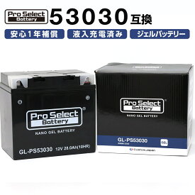 ProSelect バイク バッテリー GL-PS53030 BMW専用ジェルバッテリー(53030 互換)(ジェルタイプ 液入充電済)