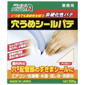 ALTECO EV[pe P01AC{[ 500g PA-P01 V[