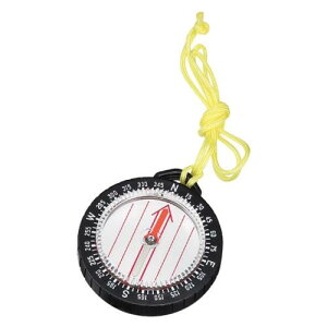 NSK RpX No.880 vʊ [yE_