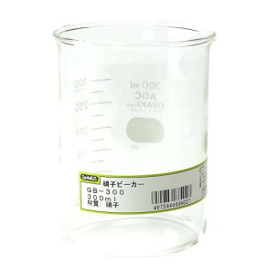 BeHAUS(rnEX) Ɏqr[J[ 300ml GB-300 ͂Evʊ