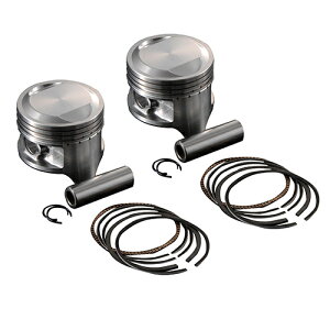 SHIFTUP(�V�t�g�A�b�v) �I�[�o�[�T�C�Y�s�X�g���L�b�g 0.25 PR W1 800650-25 �o�C�N