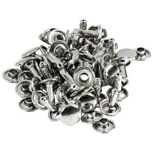 SK11 viCpߋ 30g NO.81AViK GAc[H GACpNg`