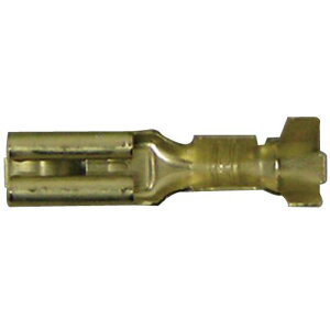 Astemo(AXe) 110`\Pbg B-6 oCN M{VE[qEzRlN^[