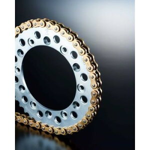 DID(哯H) `F[&OXvPbg S[h 3_Zbg W650(99-03) DK-09G oCN 쓮nZbg