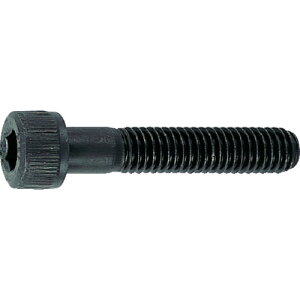 TRUSCO Zpt{g ߔlW TCYM10×75 10{ B30-1075 {gEibgEbV[