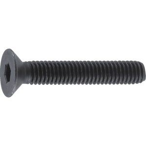 TRUSCO(gXR) ZptM{g  SlW M12×25 10{ B73-1225 ʃ{gEibgEbV[