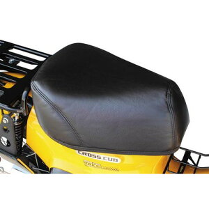 SP(SP^PK) NbVV[gJo[ NXJu110 ubN/ubNXeb` 09-11-0189 oCN O