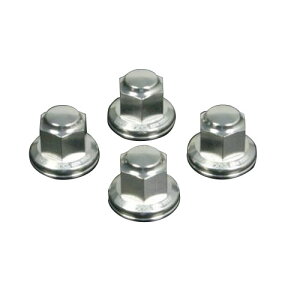 SP(SP^PK) NbV}Egibg(v[^Cv/Vo[) 06-06-0009 oCN 