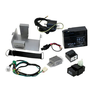 c ca1507 LEDEBJ[p _bNXp 6Vԗp12VGW n[lXtZbg oCN