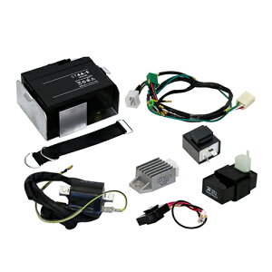 c ca1508 LEDEBJ[p VBp 6Vԗp12VGW n[lXtZbg oCN