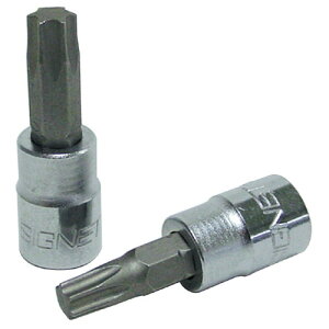 SIGNET(�V�O�l�b�g) 1/4DR T-20 �w�N�X���[�u�r�b�g�\�P�b�g 21863
