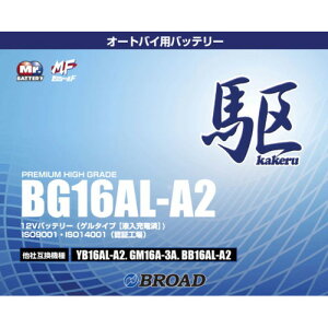  BG16AL-A2 (YB16AL-A2݊) oCN ^MFobe[