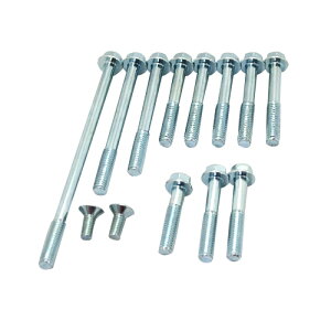 C.F.POSH(CF|bV) NNP[XJo[lW SET 270846 oCN GW