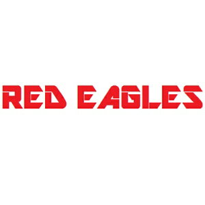 RED EAGLES 41PC vp rbgZbg RETBIT41SET nhc[H hCo[