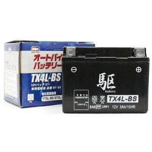  TX4L-BS (YT4L-BS ݊) oCN ^MFobe[