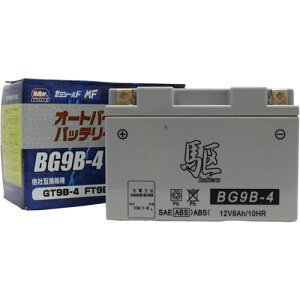  BG9B-4 (GT9B-4 ݊)(t[d) oCN ^MFobe[