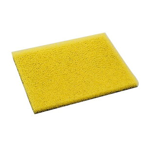 DAYTONA ^[{tB^[V[g eڃ^Cv 250×200 97352 oCN GAtB^[EGAGg