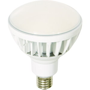 H LED nCXybNGRrbN50W E39 {̔ L50V2-J110W-50K K[WH ƓEƃCgE[NCg