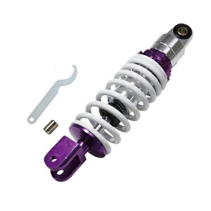 GiW[vCX ATXyV 260mm fKX AVbN z_ X[p[fBI zCg 1{ oCN