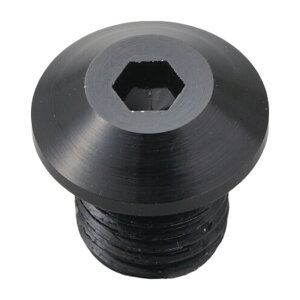 DAYTONA ~[߃{gM10 tlW ubN 99617 oCN nh