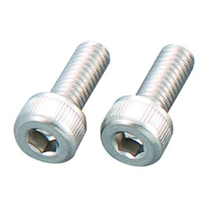 POSH Faith(|bVtFCX) XeX{g M4×10/2PCS Lu^[t[g`o[p 710410-S2 oCN