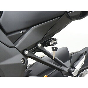 BABYFACE(xr[tFCX) wbgbN/BLK Ninja1000 17- 009-LCK07BK oCN