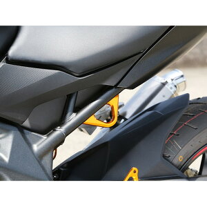 BABYFACE(xr[tFCX) [VOtbN/GLD CBR250RR 17 005-FH011GD oCN ׊|tbNE{g