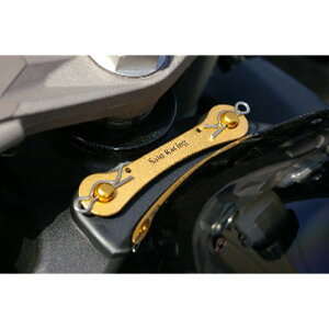 BABYFACE(�x�r�[�t�F�C�X) �K�\�����^���N�E�N�C�b�N�����[�X�s�� GLD GSXR1000 05-06 005-CS003GD �o�C�N �O��