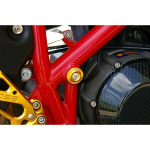 BABYFACE(�x�r�[�t�F�C�X) �t���[���L���b�v �S�[���h 2�� DUCATI 999 005-D0012GD �o�C�N �t���[�����