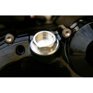 BABYFACE(xr[tFCX) ICtB[Lbv wbNX/SLV KAWASAKI/M30XP1.5 005-EK005SV oCN