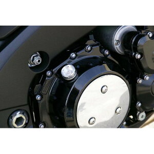 BABYFACE(xr[tFCX) ICtB[Lbv Eh/SLV KAWASAKI/M30XP1.5 005-EK006SV oCN