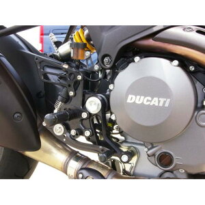 BABYFACE(xr[tFCX) obNXebv/SLV 11P MONSTER1100EVO 11-13 002-D014SVd oCN