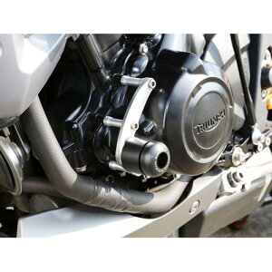 BABYFACE(xr[tFCX) GWXC_[  STREET TRIPLE 675 13- 006-ST010EL oCN O