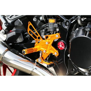 BABYFACE(xr[tFCX) obNXebvLbg GLD Z900RS 18- 002-K033GD oCN