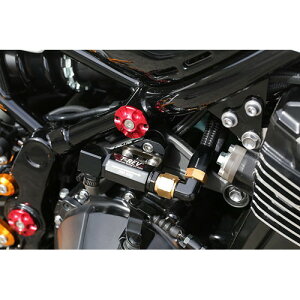 BABYFACE(�x�r�[�t�F�C�X) �t���[���L���b�v SLV/4pc Z900RS 18- 005-K0013SV �o�C�N �t���[�����