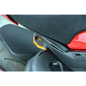 BABYFACE(xr[tFCX) [VOtbN/BLK PanigaleV4 005-FD004BK oCN ׊|tbNE{g