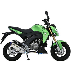 OVER(I[@[) TT-Formula RS t`^ Z125 PRO 16-65-05 oCN tGL][Xg}t[