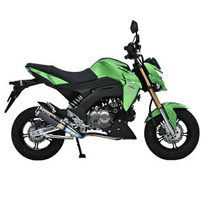 OVER(I[@[) GP-PERFORMANCE XL t`^ Z125-PRO(16-) 16-65-06 oCN tGL][Xg}t[