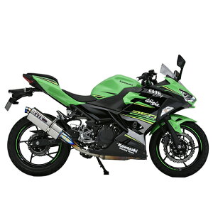 OVER(I[@[) TT-Formula t`^ S/O Ninja250 17-693-03 oCN XbvI}t[ETCT[