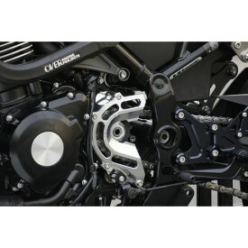 OVER Racing(オーヴァーレーシング) スプロケットカバー SLV Z900RS 57-71-11 バイク