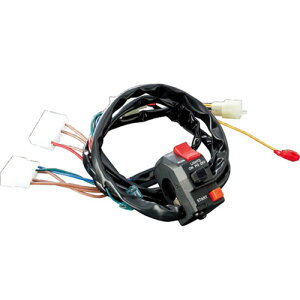 ACTIVE XCb`ASSY GPZ900R/ZEP1100 1387301 oCN